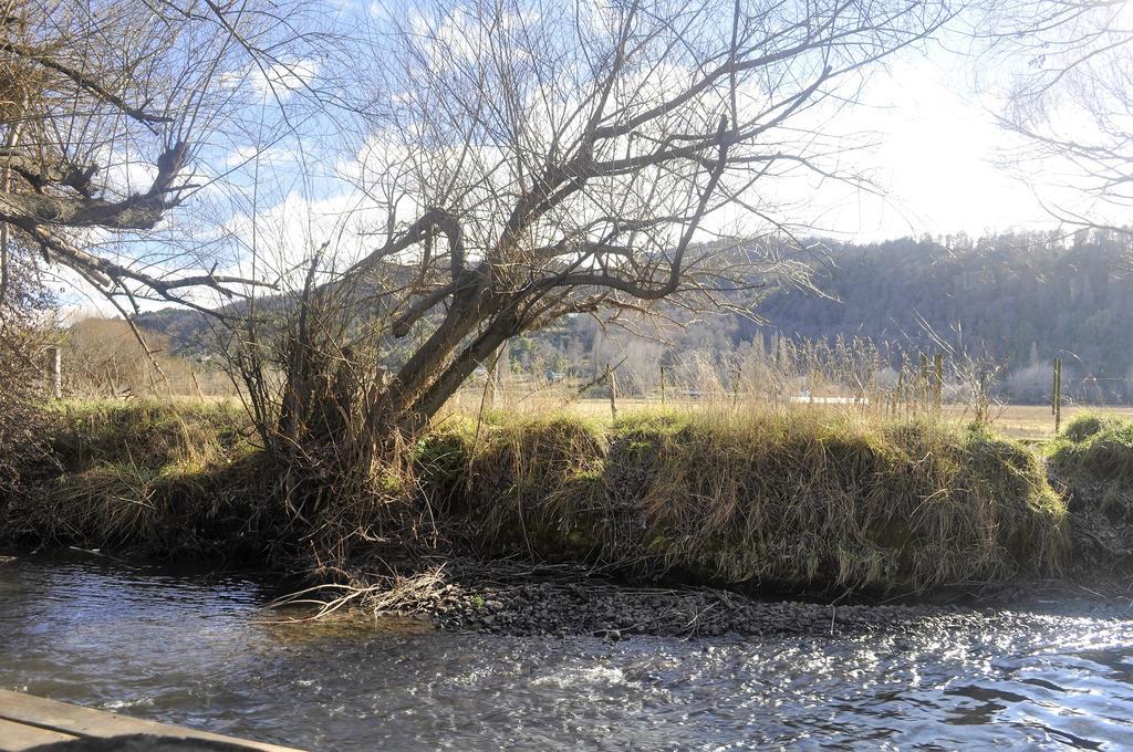 Departamentos Mirador Del Maipu Lejlighed San Martín de los Andes Eksteriør billede
